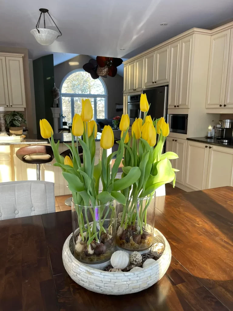 Tulips Indoors