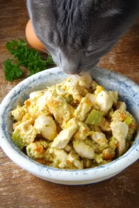 Cat Food Recipe With Chicken