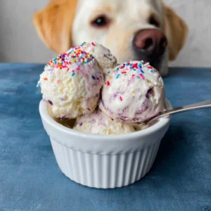 Dog ice Cream Recipe