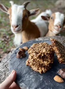goat treat recipe with molasses and oats